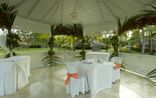 Комплекс Grand Palladium Punta Cana&nbsp;&mdash; Свадьбы